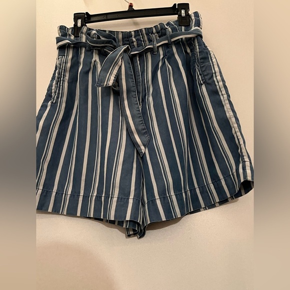 Appraisal Blue and White High Waist Striped Shorts with Belt - Picture 5 of 11